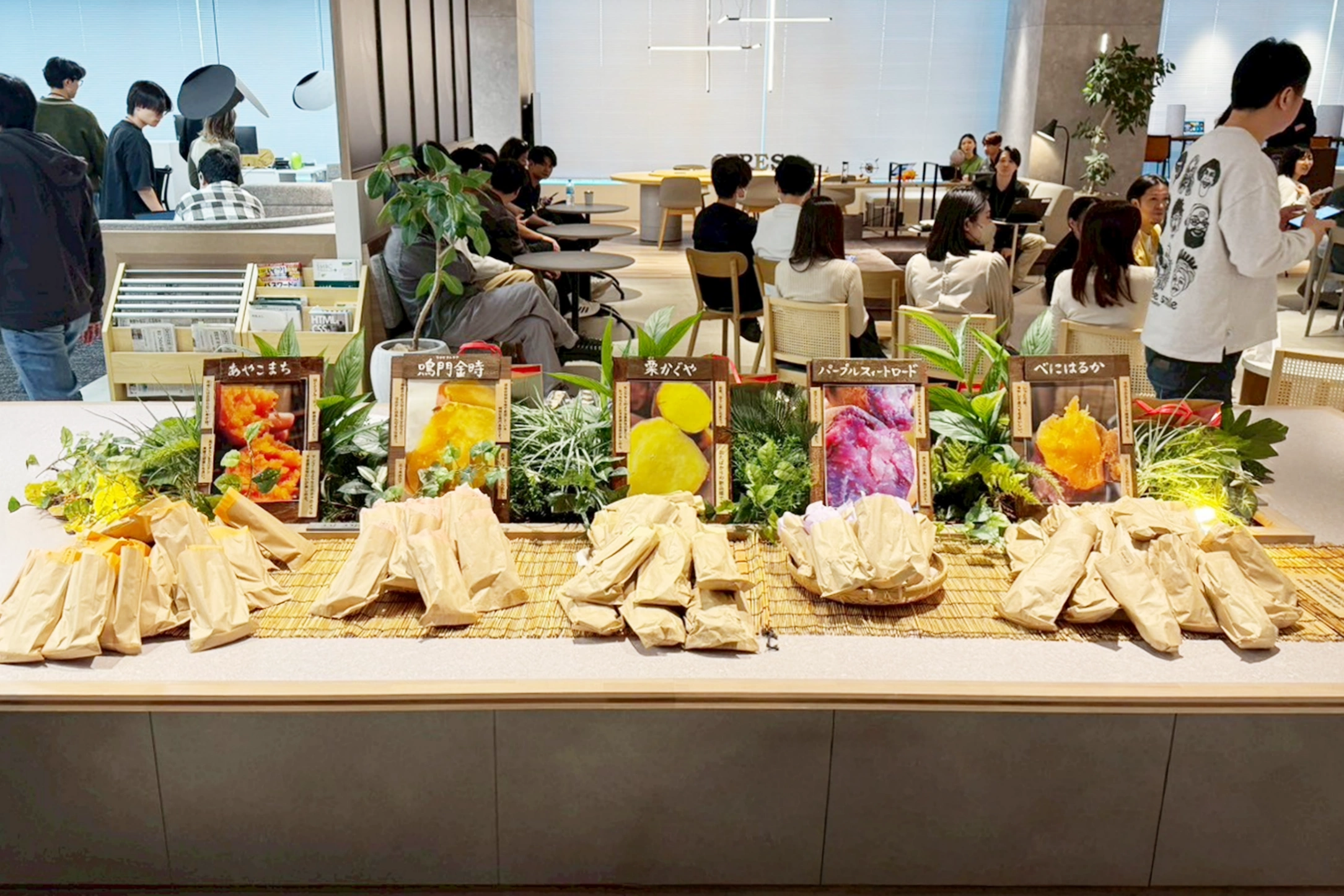 セレスフェス 軽食の焼き芋